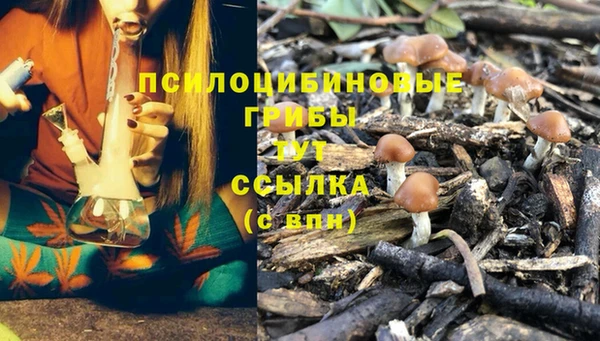 мдпв Нягань