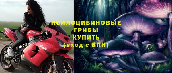 мдпв Нягань