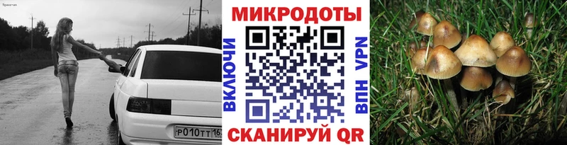 дарк нет состав  Котлас  Псилоцибиновые грибы мицелий  blacksprut ТОР 