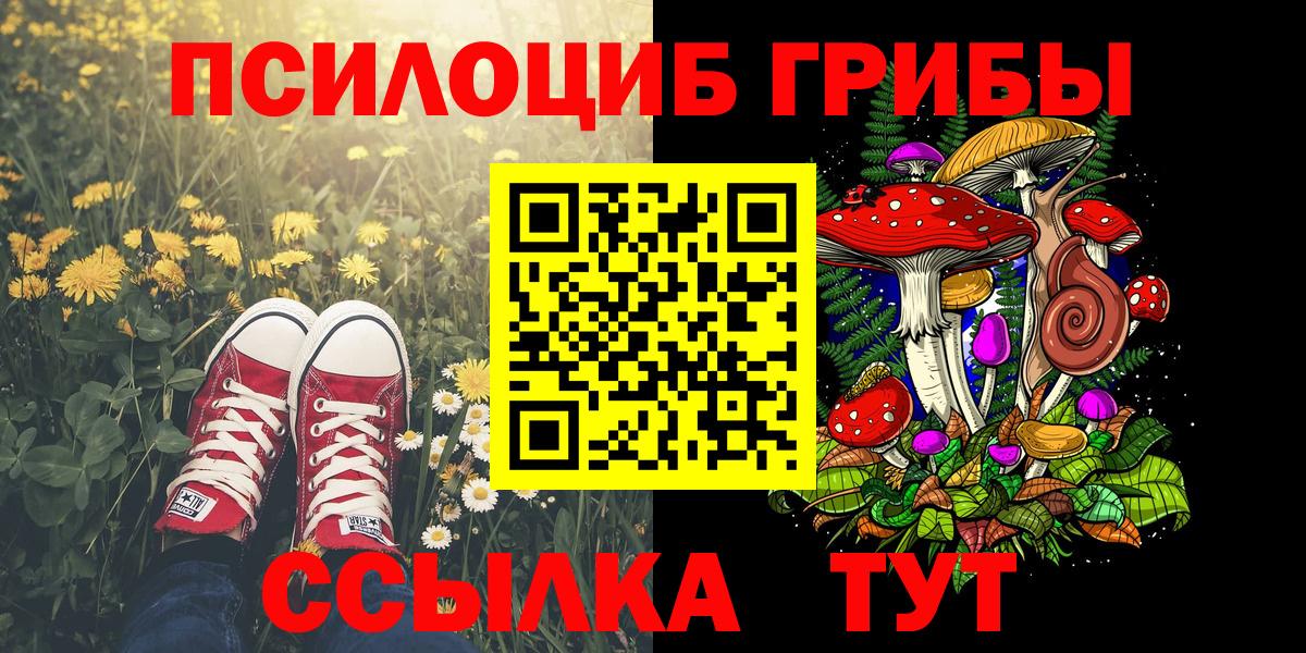Псилоцибиновые грибы прущие грибы  Котлас 