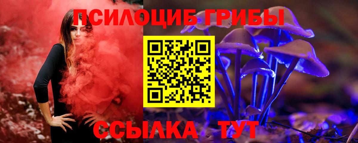 Галлюциногенные грибы GOLDEN TEACHER  Галлюциногенные грибы мухоморы  Котлас  Вход с VPN 