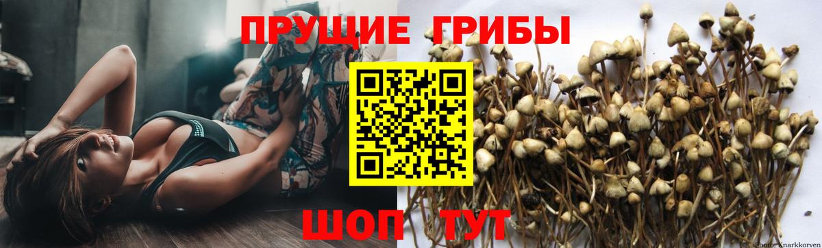 Купить наркотик  Альфа-ПВП  Ляпка  MDMA  Кодеин  Молли  Вход с VPN  Меф  Конопля  Марихуана  Котлас  COCAIN 